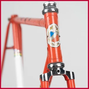 CHIAPPINI STEEL FRAME VINTAGE ROAD SPORT BIKE ITALIAN LUGS LUGGED RED CAMPAGNOLO - Picture 1 of 16