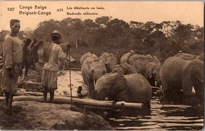 1923 Belgian Congo RP Postcard Cover Elephants Taking Shower to Belgium Brussels - Picture 1 of 2
