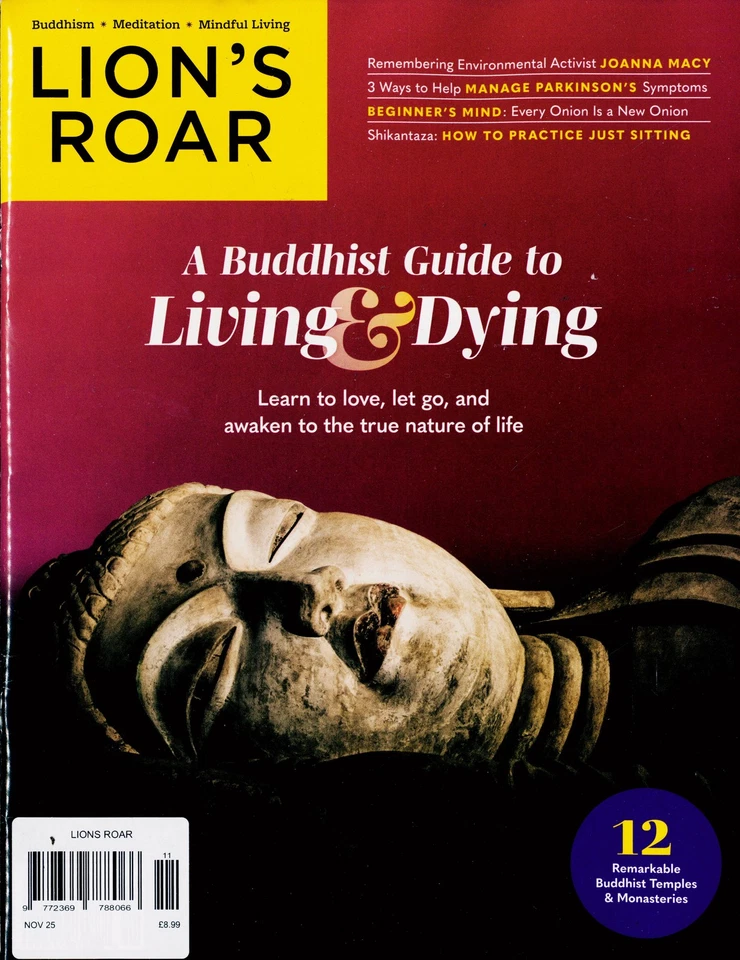 LIONS ROAR MAGAZINE NOV 25 - Image 1 of 1