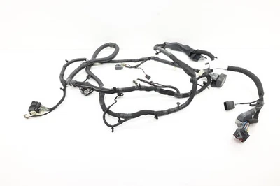 Arnés de cableado de luz trasera Ford F-150 2021-2025 OEM PL3T14405DEC Foto 1 de 4