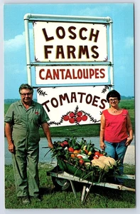 South Roxana ILLinois Losch Farms watermelon Cantaloupe chrome Postcard D574 - Picture 1 of 2