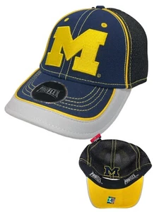 Michigan Wolverines Proflex Fitted One Size College Collection Game Day Hat - Picture 1 of 3