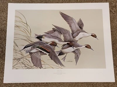 Art Lamay 1999 firmado "Primavera" Pato Unltd. IMPRESIÓN PÓSTER 29" X 22,5" - PAPÁ'S Foto 1 de 4