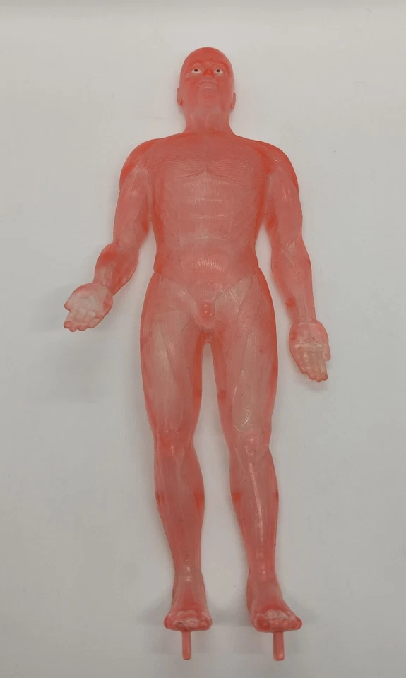 RICAMBIO Esplorando Il Corpo Umano  modellino anteriore uomo trasparente vintage - Immagine 1 di 3