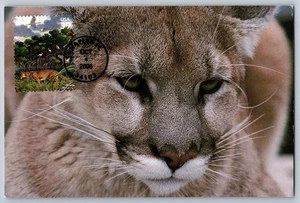 #4099c Southern Florida Wetland Florida Panther FDC Maxi Card w/Pictorial Cancel - Picture 1 of 2