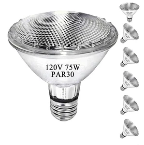 PAR30 Short Neck Halogen Flood Light Bulb 75W – 6 Pack High Output - Picture 1 of 2