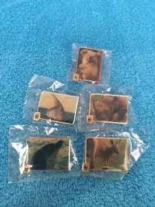 WWF World Wide Fund for Nature SAMMLER PIN SET 5 verschiedene Pins - Bild 1 von 6