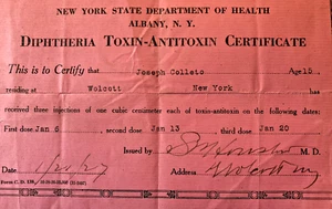 WOLCOTT N Y Diphtheria Toxin-Antitoxin Certificate 1927 Joseph Colleto Age 15 - Picture 1 of 3