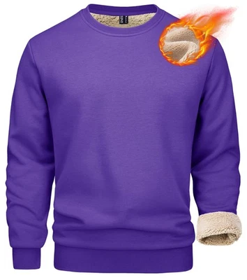 Sudaderas informales para hombre forradas de sherpa invierno cálido polar pulóver cuello redondo camisas Foto 1 de 4