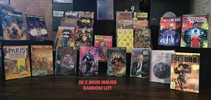 🔥 BUNDLE/LOT of 25 Issues -Independents - ISSUES PICTURED ARE THOSE SENT  - Bild 1 von 1