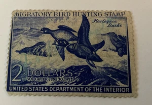 RW19 Federal Duck Hunting Stamps Fine MNH OG Migratory Bird Hunting Stamp 1952 - Picture 1 of 2