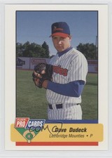 1994 Fleer ProCards Minor League Dave Dudeck #3870