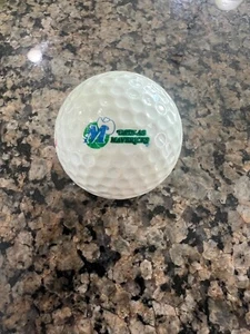 LOGO GOLF BALL-ORIGINAL 1980-1993 NBA DALLAS MAVERICKS LOGO-OLDER LOGO‼️ - Picture 1 of 1