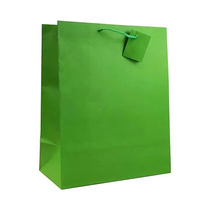 Paquete de 12 bolsas de regalo verdes grandes de 13x10x5,5 pulgadas con asas para el nacimiento... Foto 1 de 2