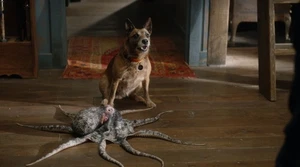 Juguete para masticar perro de Harry Resident Alien S02E06 utilería original (2358-6427) - Imagen 1 de 4