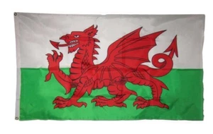 3x5 Wales Welsh Dragon Country 200D Nylon Flag 3'x5' Brass Grommets - Picture 1 of 1