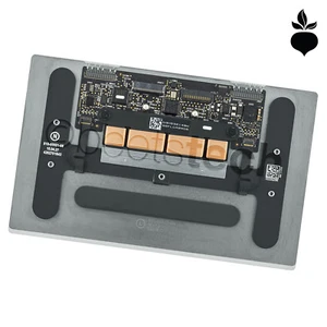 "MacBook Retina 12"" A1534 principios de 2015 MJY32 MJY42" FORCE TOUCH TRACKPAD GRIS ESPACIAL - Imagen 1 de 2