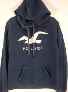 Hollister-Womens/Teens Pullover Hoodie Sweatshirt-Large-Blue-Embroidered-Casual - Picture 1 of 6