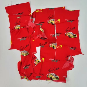 Schrott Posten Nascar Terry Labonte #5 Kellogg's Corn Flake Racing rot Baumwollstoff - Bild 1 von 7