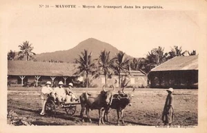 Comores - MAYOTTE - Le moyen de transport dans les propriétés - Cliché John Bapt - Imagen 1 de 2