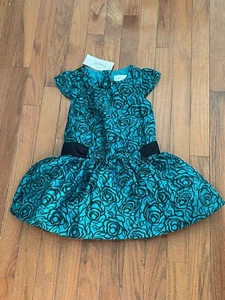 Gymboree Girl Dressed Up by Gymbo Dark Green Black Floral Print Holiday Dress 3T - Picture 1 of 5