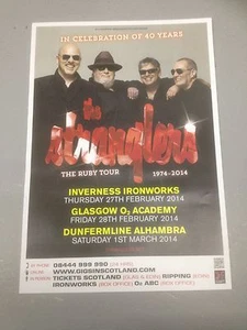 THE STRANGLERS - ORIGINAL CONCERT POSTER THE RUBY TOUR 1974 - 2014 PUNK POSTER - Imagen 1 de 1