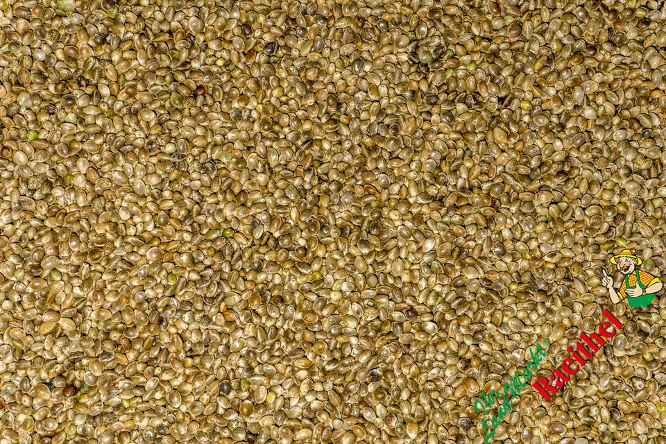 (2,58€/kg) Futterhanf 20 kg Hanfsaat Wintervogelfutter Wildvogelfutter - Bild 1 von 1