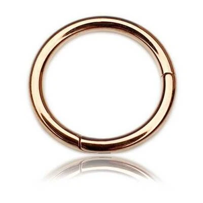 Rose Gold Steel Segment Ring Clicker, Clicker Piercing Ring, Tragus, Labret ... - Bild 1 von 2