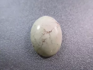 Magnesit Türkis Cabochon 1 Stück - Bild 1 von 1