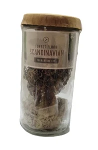 Forest Floor Moss Scandinavian Terrarium Kit - Lichen & Hysop New - Picture 1 of 5