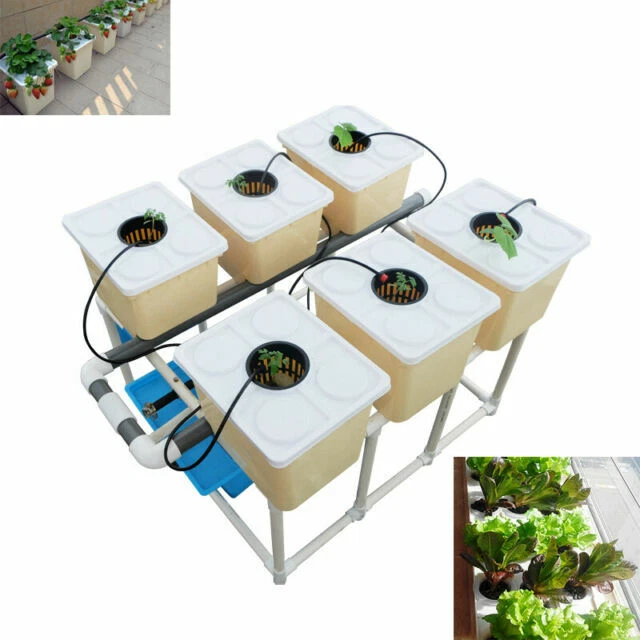 TECHTONGDA 141154 6 Sites Hydroponic Site Grow Kit Box-type Culture Garden Growing System
