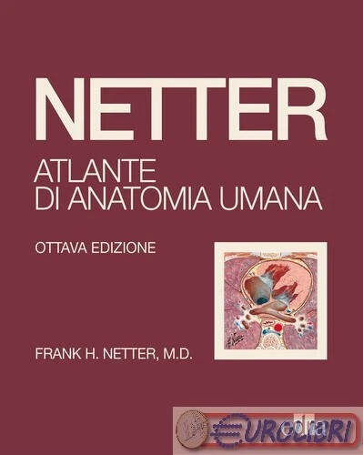 9788821457111 Frank H. Netter Netter. Atlante di anatomia umana Edra - Immagine 1 di 1