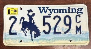Oldtimer 1996 Wyoming Nummernschild - Bild 1 von 5