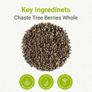 Natural Chaste Tree Berries Whole - Picture 1 of 5