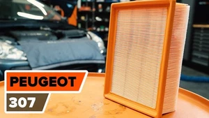 Air Filter fits PEUGEOT 307 3B, 3E, 3H 2.0 00 to 05 1444FH 1444VW 1444W2 FT3 - Picture 1 of 1