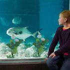 Aquarium Deko Lotusblumen Seerose Fischversteck Kunststoffpflanze Haushalt