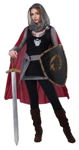 Adult Ladies Knight Renaissance Medieval Costume - Picture 1 of 2