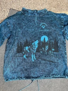 Vintage PA Grand Canyon Sweatshirt L/XL Unisex Blue PA Nature Print Sweater Unis - Picture 1 of 12