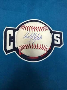 Carlos Delgado Autographed OML Baseball (JSA) - Picture 1 of 2