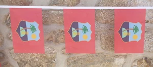West Indies Flag Bunting - 6m With 20 Flags - Picture 1 of 4