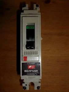 FEDERAL ELECTRIC 125AMP SINGLE POLE MCCB 220/240V WG1P125R - Picture 1 of 1
