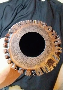 Professional 2.3 Shakuhachi Chikuyu (by Kobo Chikuyu), 3 Stamps, Left Handed  - Picture 1 of 8