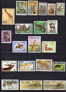 les animaux sauvages un lot de 15 timbres /TE5554 - Imagen 1 de 1