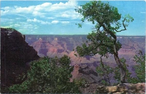 Grand Canyon National Park Arizona Vintage Postcard Bright Angel Trail Unposted - Picture 1 of 2