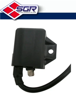 CDI Spule für Derbi 50 Variant Revolution 2003 > / Husqvarna 50 WRS 1998 > - Bild 1 von 3