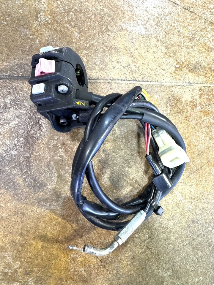 Yamaha Bug Bear Bruin Grizzly Kodiak Raptor 250-660 2001 2014 OEM interruptor H izquierdo  Foto 1 de 1