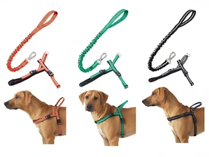 Riflettente Imbottito Pettorina & Elastico Anti Shock Guinzaglio per Cani A 32kg - Foto 1 di 7