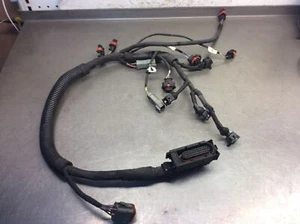 Ski-Doo Expedition 600 SDI 2005-2009 Engine Wiring Harness 22033120 - Picture 1 of 9