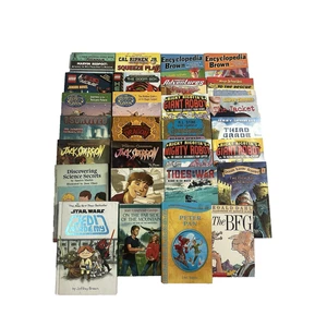 (Lot of 28) 2nd -3rd Grade Boys Chapter Books ~ TEACHER ~ Summer Reading - Bild 1 von 24