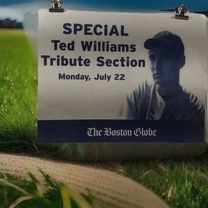 Very Rare 2002 TED WILLIAMS BOSTON GLOBE CARDBOARD INSERT POSTER 10x14 - Picture 1 of 3